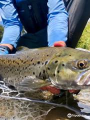 The New Zealand Flyfishing Company