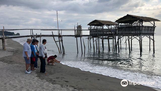 Pawikan Conservation Center