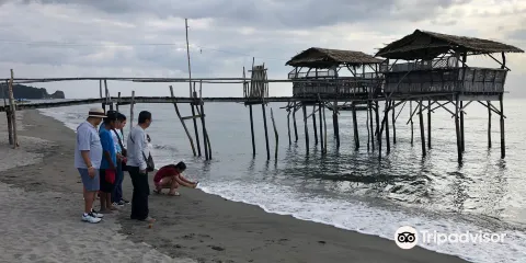 Pawikan Conservation Center