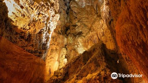 Jama - Grotta Baredine