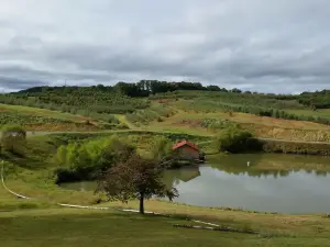 Mercier Orchards