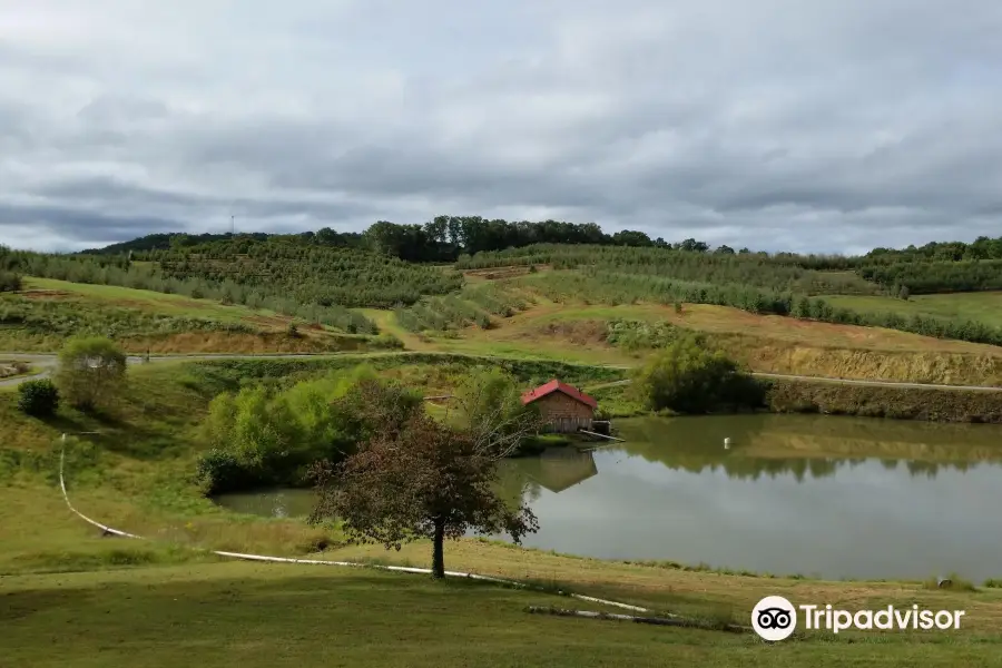 Mercier Orchards