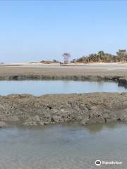 Folly Beach County Park