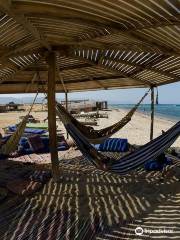 Blueforce Diving Nuweiba