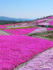 茶臼山