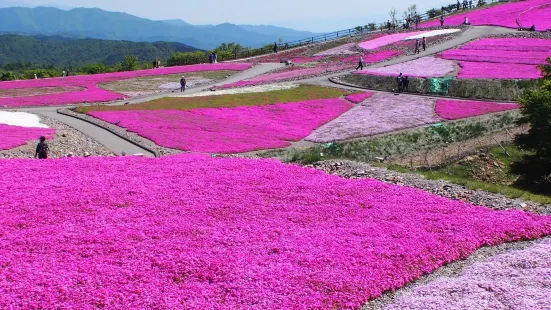 茶臼山