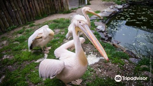 Rivne Zoo