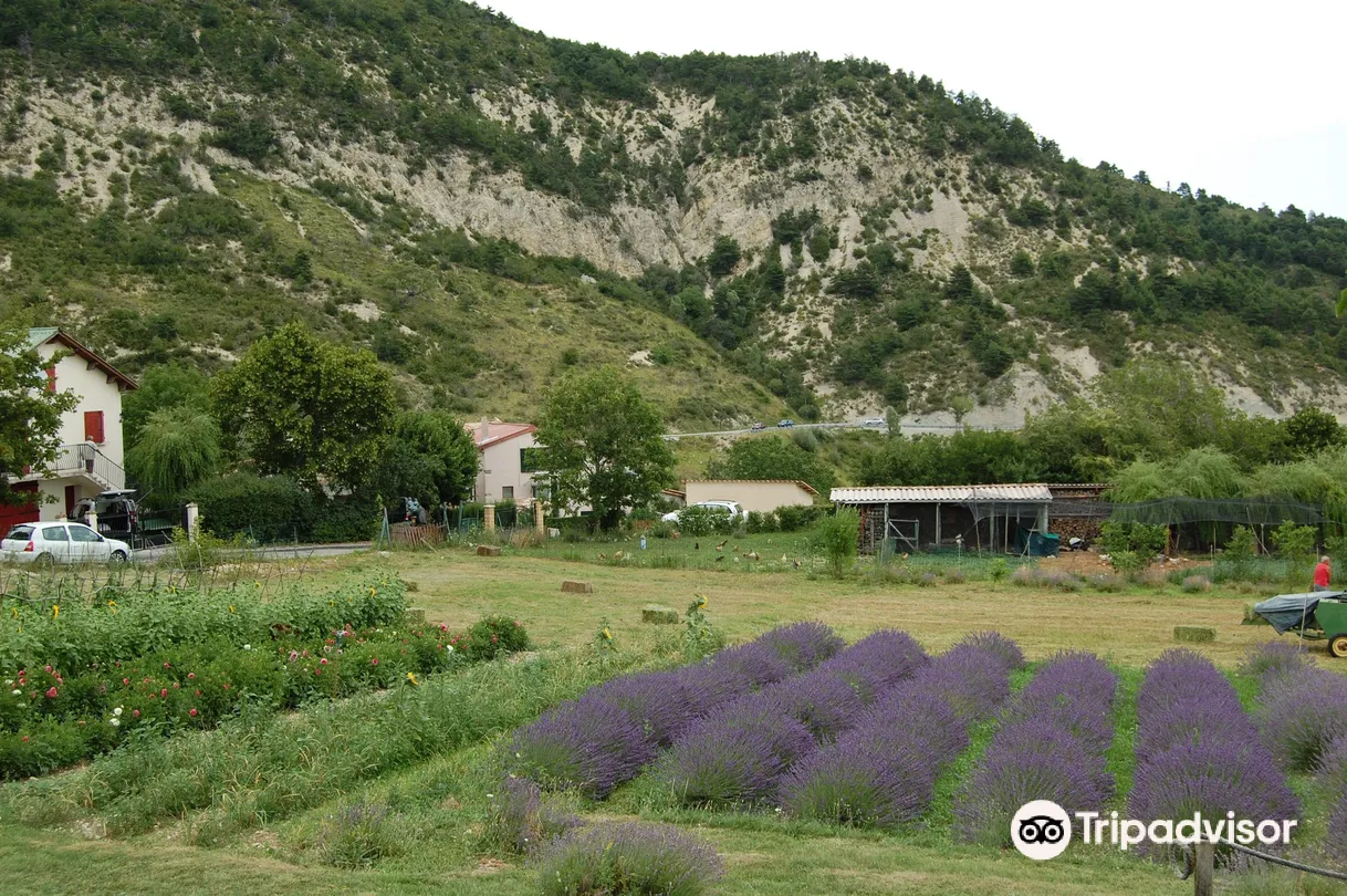 5_Gore Creek Reserve and Lane Cove Bushland Park Walk