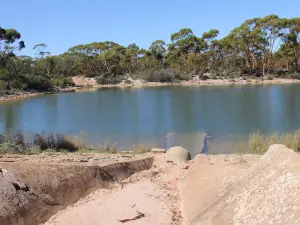 Bromus Dam Campground