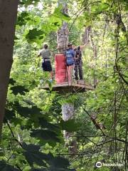 Treetop Adventures