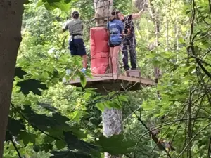 Treetop Adventures