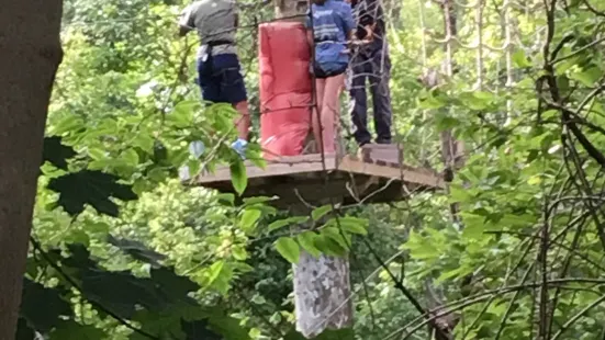 Treetop Adventures