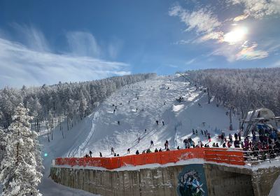 Kolubara