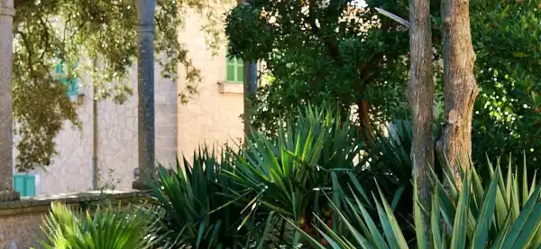 Hotels in Algaida