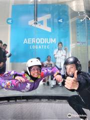 Aerodium Logatec