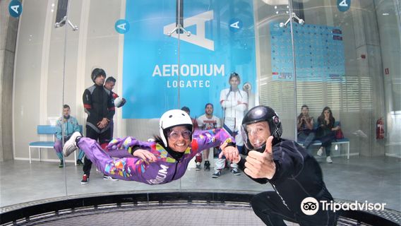 Aerodium Logatec