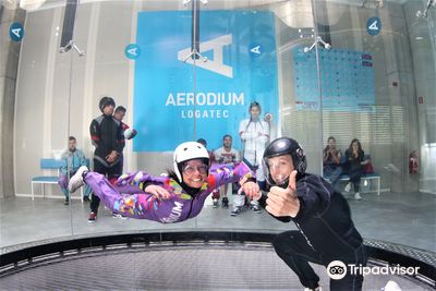Aerodium Logatec