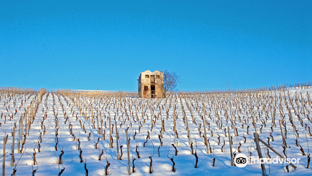 AZ.MARIO RIVETTI CASCINA SERRE