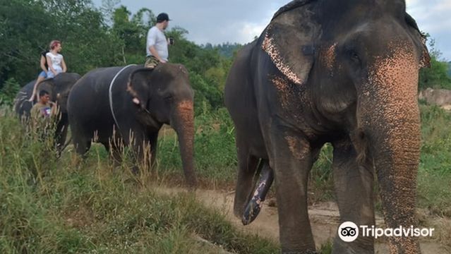 AONANG ELEPHANT PARK
