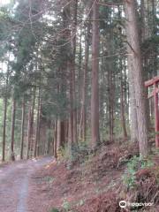 Avenue of Cedars in Uenomae