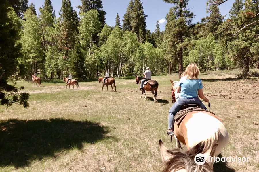 Camp Richardson Corral