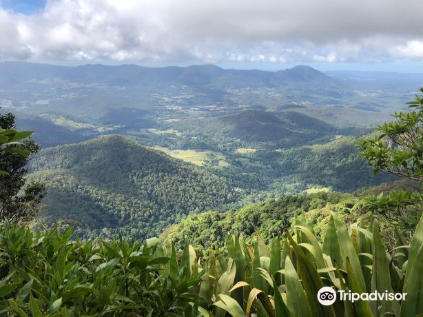 Wollumbin / Mount Warning
