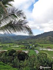 Hanalei National Wildlife Refuge