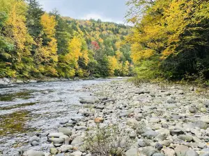 Chesterfield Gorge