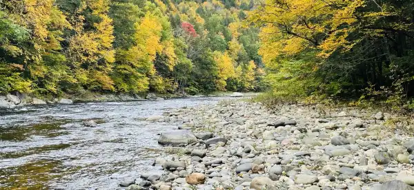 Hotels in Hampshire County