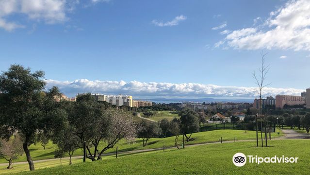 Parque da Bela Vista
