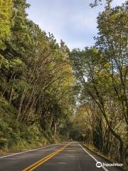 Chuckanut Drive