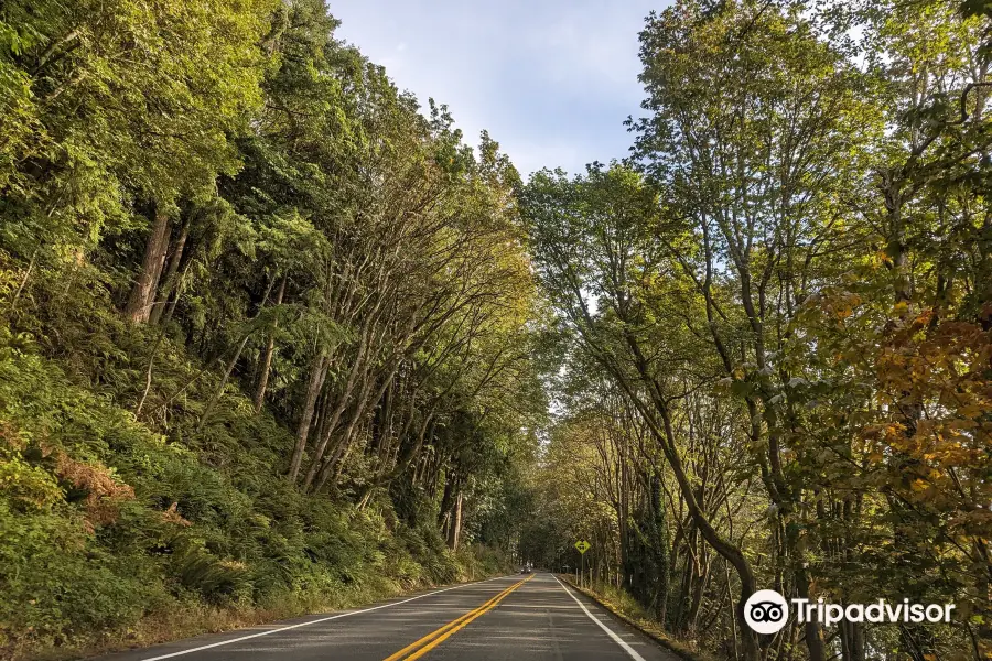 Chuckanut Drive