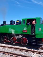 Avon Valley Railway （AVR）