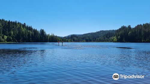 Windgfallweiher