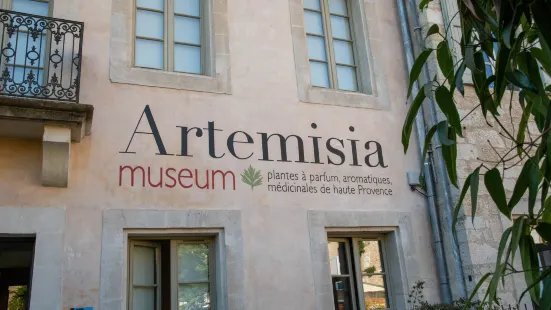 Artemisia museum