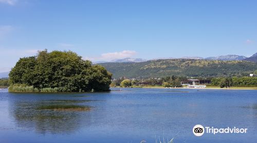 Lac de Divonne