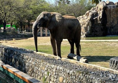 Parque Zoologico La Pastora