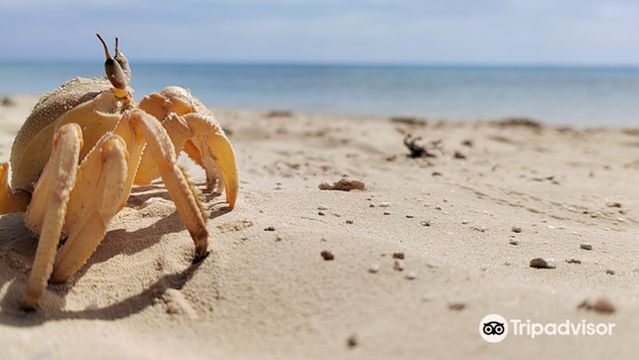 Vivasub Diving Center