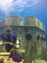 Kittiwake Shipwreck & Artificial Reef