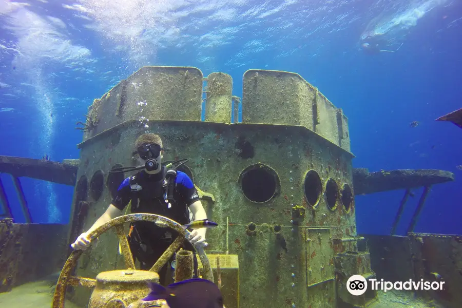 Kittiwake Shipwreck & Artificial Reef