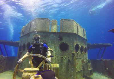 Kittiwake Shipwreck & Artificial Reef