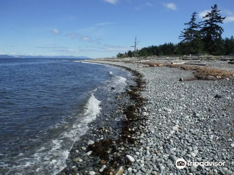 Kin Beach Provincial Park