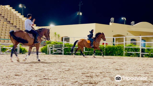 Cairo International Stadium
