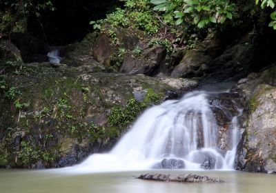 Namtok Raman Forest Park