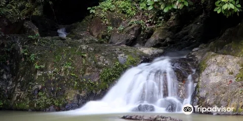 Namtok Raman Forest Park