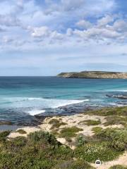 Kangaroo Island Trails