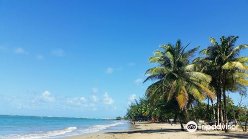 Dorado Beach East