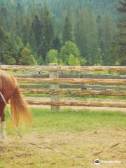 Horseback Riding Tours