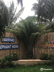 Mai khao Elephant home