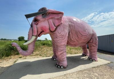 Pink Elephant